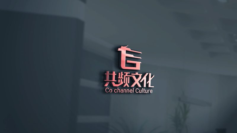 广州广告配音公司报价解析：揭秘行业定价逻辑